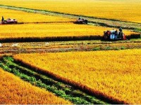 齊齊哈爾農(nóng)業(yè)機械化學(xué)校農(nóng)業(yè)機械使用與維護專業(yè)介紹