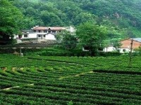 安康農(nóng)業(yè)學(xué)校關(guān)于全國計(jì)算機(jī)考試通知