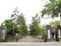 齊齊哈爾林業(yè)學(xué)校物流服務(wù)與管理專(zhuān)業(yè)介紹