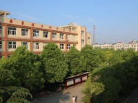 安徽省阜南縣柴集高級職業(yè)中學(xué)觀光農(nóng)藝技術(shù)專業(yè)介紹