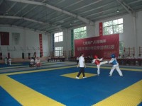 安徽省阜陽體育運動學(xué)校自由式摔跤專業(yè)介紹
