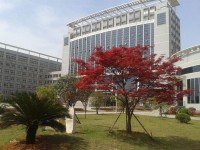 2018湖北省中職學校排名匯總篇