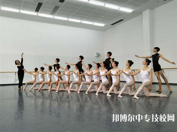 芭蕾舞專業(yè)介紹