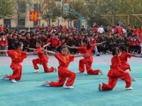 齊魯武術(shù)學(xué)校聯(lián)系方式