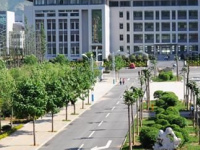泰山護(hù)理職業(yè)學(xué)院簡(jiǎn)介