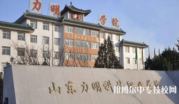 山東力明科技職業(yè)學院簡介