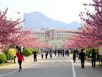 山東外貿(mào)職業(yè)學(xué)院國(guó)際運(yùn)輸與物流系簡(jiǎn)介