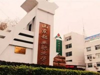 山東鋁業(yè)職業(yè)學(xué)院簡介