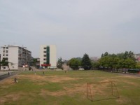 懷化市金橋職業(yè)技術(shù)學(xué)校有哪些專業(yè)