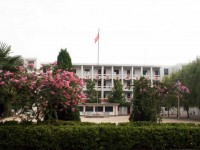 新安縣職業(yè)高級(jí)中學(xué)專業(yè)介紹
