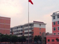 新安縣職業(yè)高級(jí)中學(xué)電子商務(wù)專業(yè)介紹