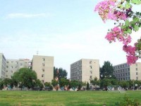 開封市信息工程學校招生簡章