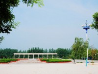 通許縣中等職業(yè)學校收費標準,學費多少