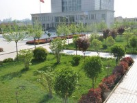 周口幼兒師范學(xué)校招生計劃