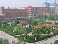 鄭州信息工程職業(yè)學(xué)院國(guó)際學(xué)院專業(yè)介紹