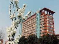 洛陽(yáng)科技職業(yè)學(xué)院汽車工程學(xué)院專業(yè)介紹