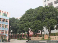 六盤水市理工職業(yè)技術學校：高級技工專業(yè)介紹