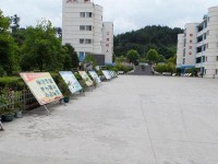 貴陽市新城職業(yè)學(xué)校網(wǎng)絡(luò)技術(shù)專業(yè)介紹