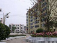 宜賓縣高場職業(yè)中學(xué)校成才典型