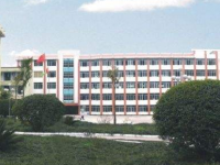 宜賓縣高場職業(yè)中學校電子商務專業(yè)介紹