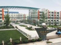 成都市華陽職業(yè)中學(xué)三年提升發(fā)展計劃