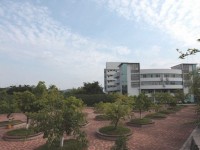 四川幼兒師范高等?？茖W校學費