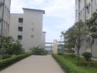 四川省宜賓市工業(yè)職業(yè)技術(shù)學(xué)校就業(yè)指導(dǎo)