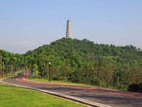 內江市奮發(fā)中等職業(yè)學校聯(lián)系方式