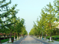 成都城市建設(shè)技工學(xué)校2020年宿舍條件