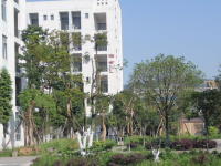 四川大邑職業(yè)高級中學2020年招生錄取分數(shù)線