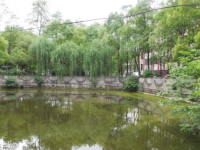 四川瀘縣建筑職業(yè)中專學(xué)校地址在哪里