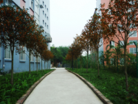 德陽通用電子科技學(xué)校2020年報(bào)名條件、招生要求、招生對(duì)象