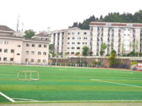 綿陽藝術(shù)學(xué)校2020年招生簡章