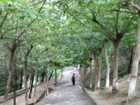 鹽亭職業(yè)技術(shù)學(xué)校地址在哪里