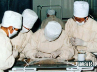 甘南州衛(wèi)生學(xué)校2020年招生錄取分?jǐn)?shù)線