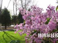 金昌技師學(xué)院2020年招生錄取分?jǐn)?shù)線