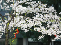 杭州電子信息職業(yè)學(xué)校2020年招生計(jì)劃