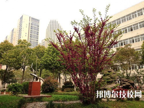 武漢市東西湖職業(yè)技術(shù)學(xué)校地址在哪里 