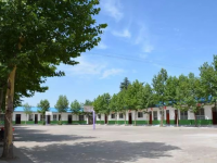 周至藝術職業(yè)學校2020年招生計劃