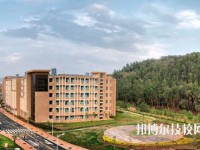 云南藝術(shù)學(xué)校2020年有那些專業(yè)