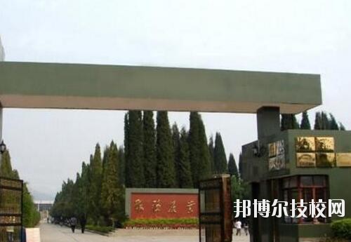 師范網(wǎng)1