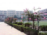 石家莊經(jīng)濟(jì)學(xué)校怎么樣、好不好
