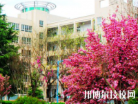 甘肅機電職業(yè)技術(shù)學(xué)院網(wǎng)站網(wǎng)址
