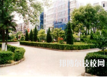 武漢市建設學校網址網站