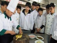 寧波技師學(xué)院2020年有哪些專業(yè)