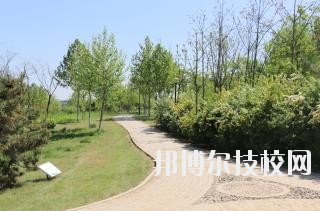 石家莊中英航空中等專業(yè)學(xué)校2020年報名條件、招生要求、招生對象