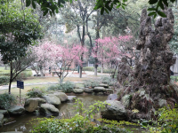 湖南網(wǎng)絡(luò)工程職業(yè)學(xué)院2023年招生簡章
