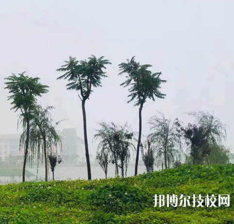 甘肅財(cái)貿(mào)職業(yè)學(xué)院2020年學(xué)費(fèi)、收費(fèi)多少