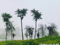 甘肅財(cái)貿(mào)職業(yè)學(xué)院2020年學(xué)費(fèi)、收費(fèi)多少
