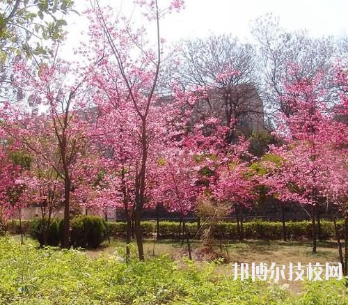 師范網(wǎng)1
